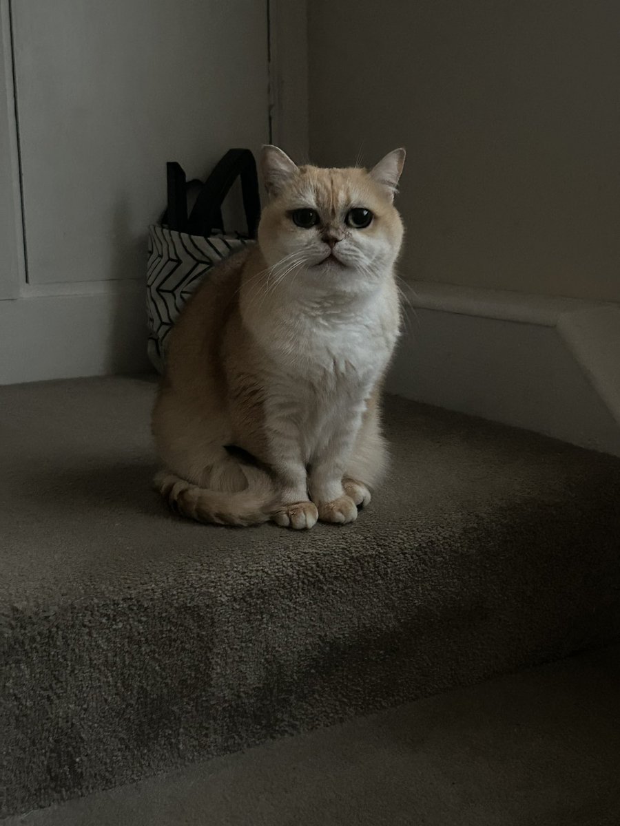 mimybug's tweet image. can i come over and stare at you like this