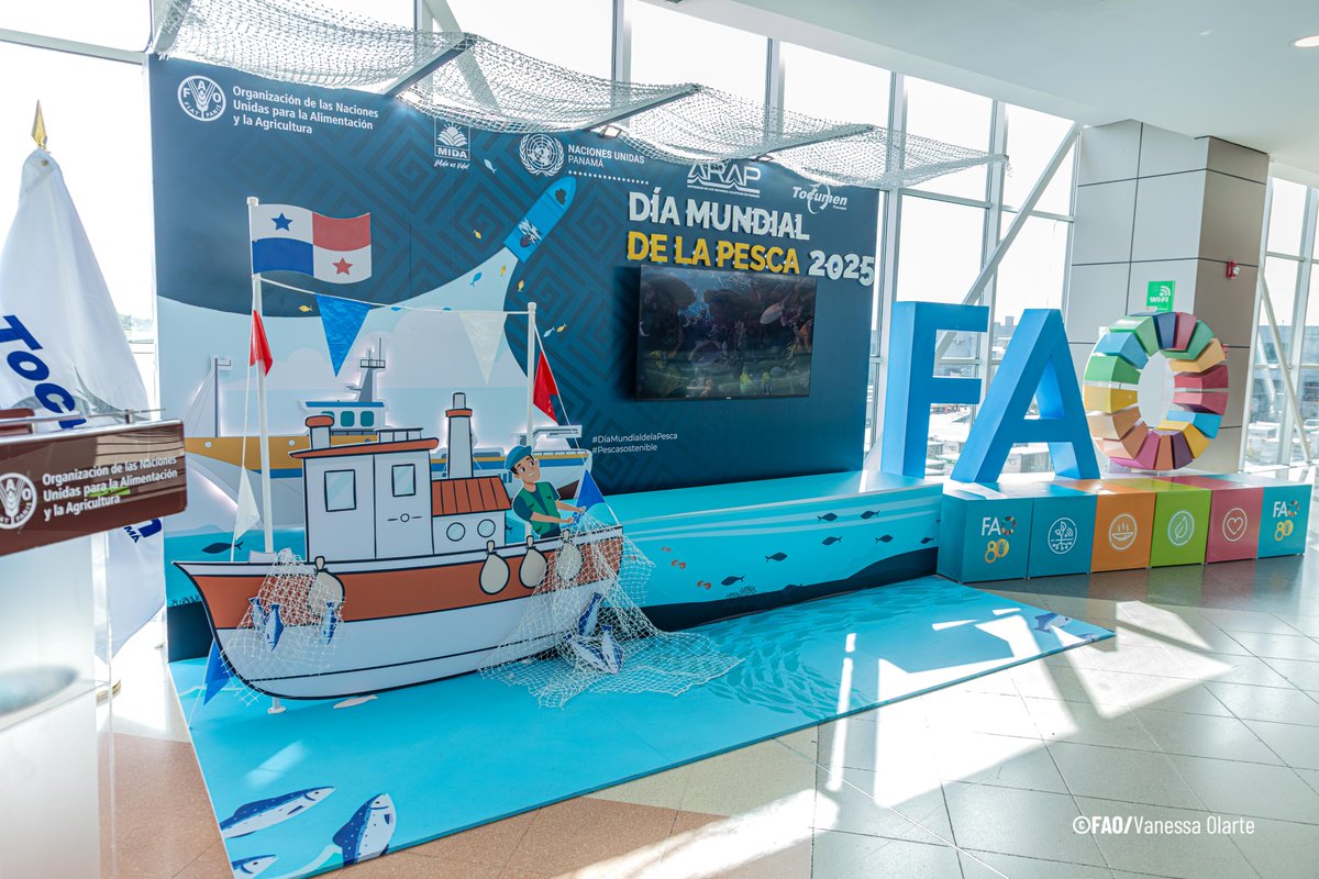 FAO Mesoamérica tweet media