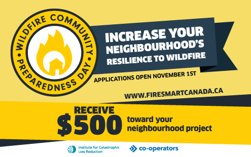 NB Forest Fires tweet media