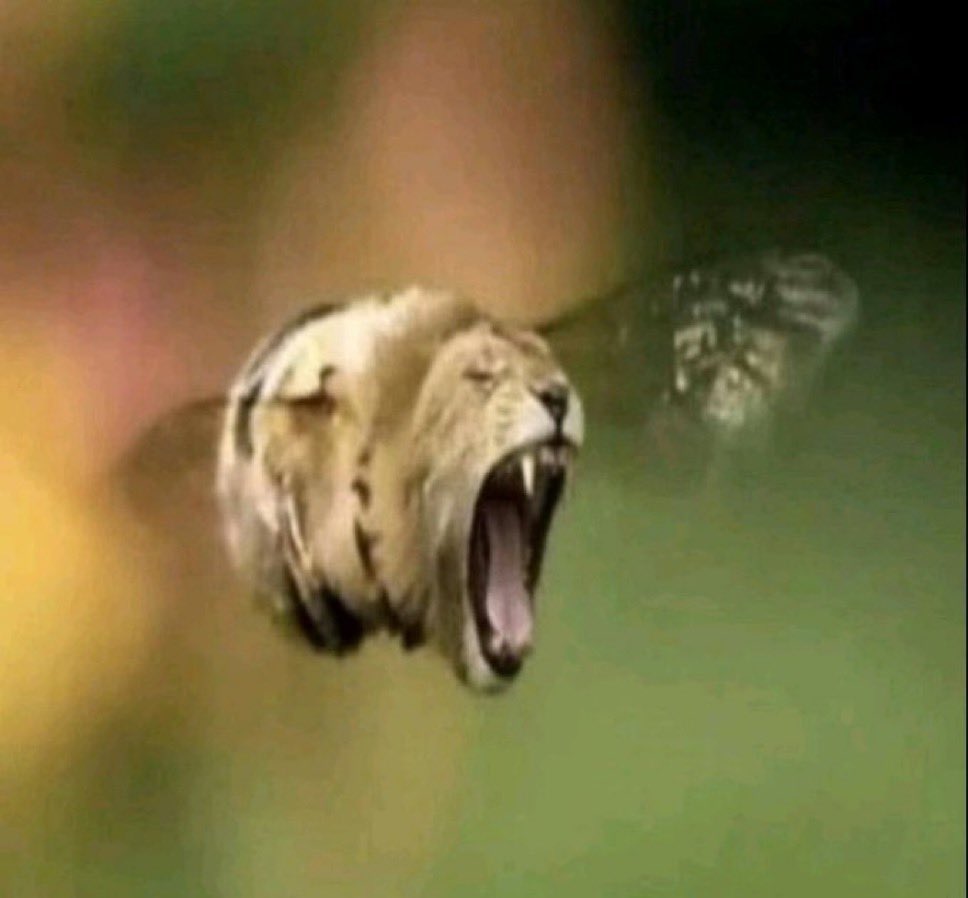 My PC has always been so laggy with trying to use or open any app/browser for years.

You're telling me this whole time all I had to do was...disable McAfee. Oh my god bruh