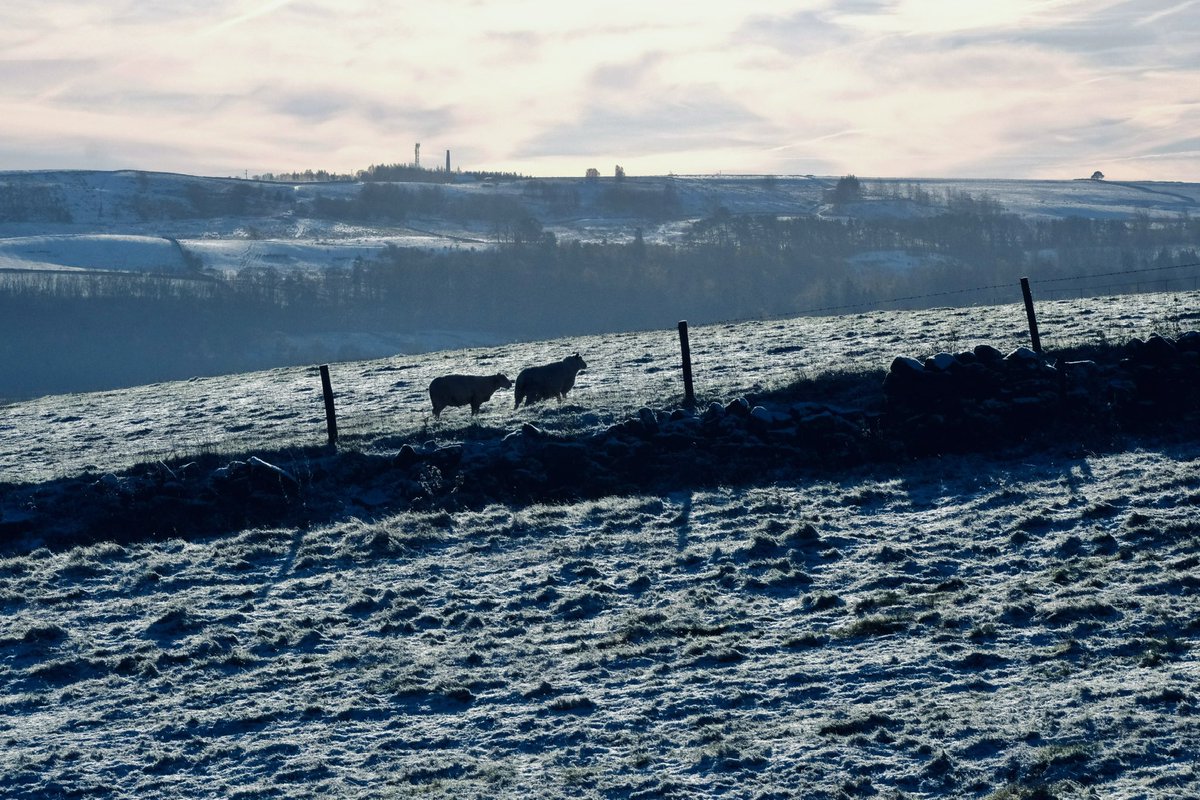 Michael Sadgrove 🇪🇺 tweet media