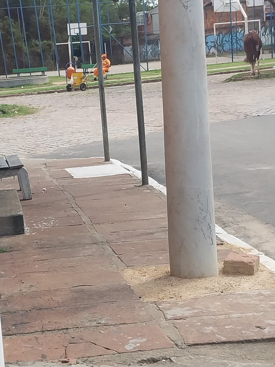 rodrigo64355696's tweet photo. @Prefeitura_POA Assim que prestadores de cooperativas prestao  serviços na ruas de Porto Alegre ,os garis em plena tarde as 15 h do dia 21/11/2025 na zona sul Cohab/cavalhada. Não à fiscalização  da prefeitura de Porto Alegre-RS. https://t.co/GfhdJ6QhK3