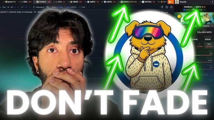 BaseDogCharlie's tweet image. $Charlie to $1 MILLION MC? IS THIS RUNNING NEXT! (DON’T MISS)

youtu.be/YYPgUI9wBgg?is…