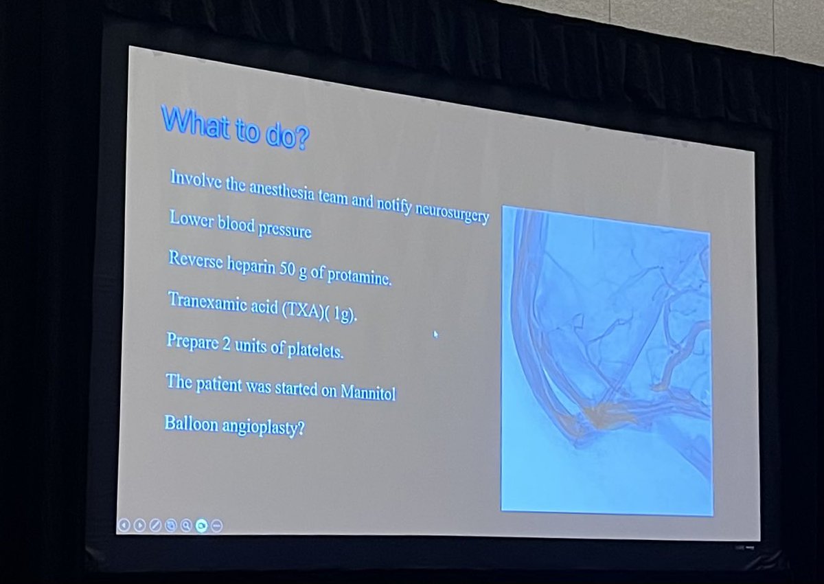 Piers Klein tweet media