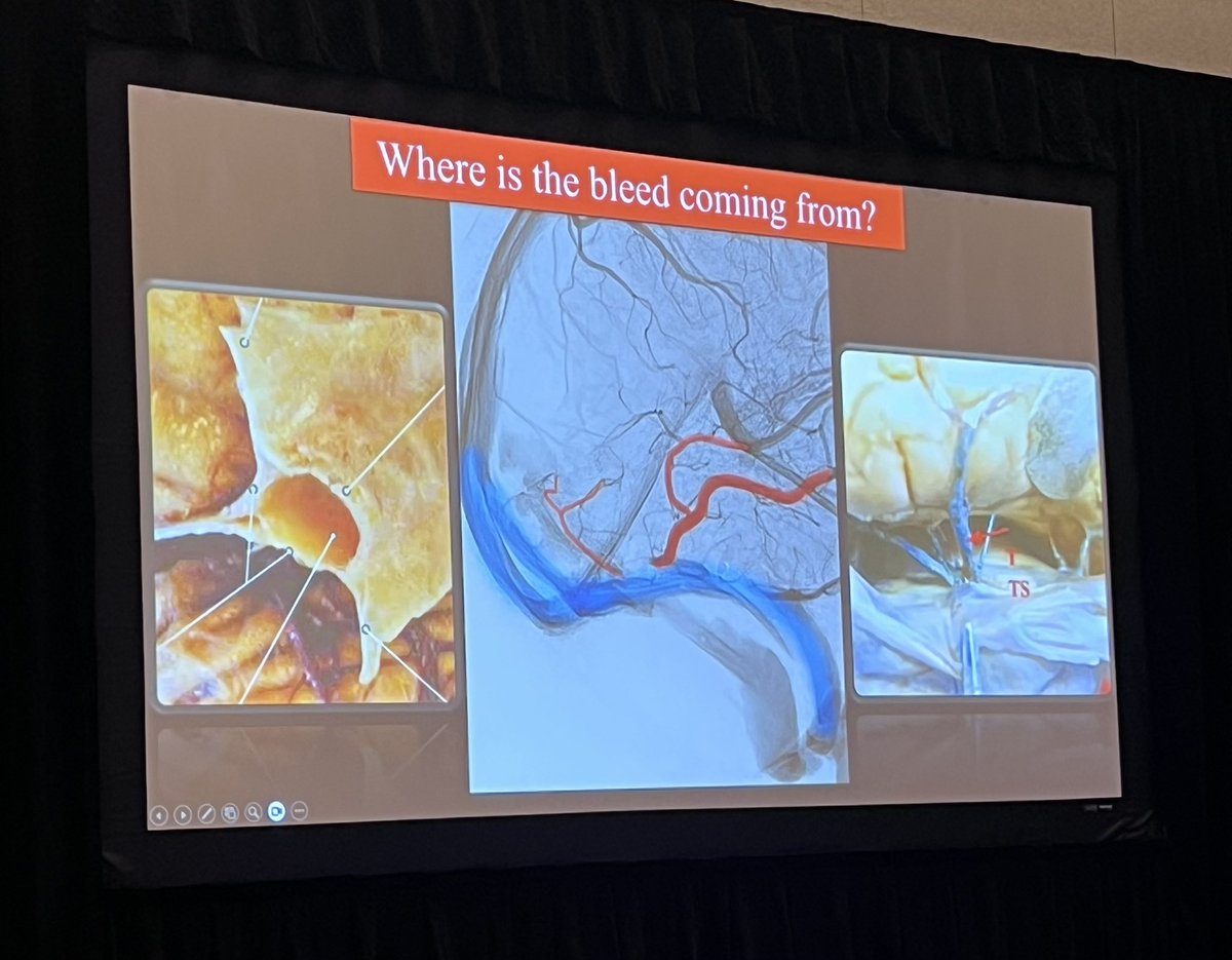 Piers Klein tweet media