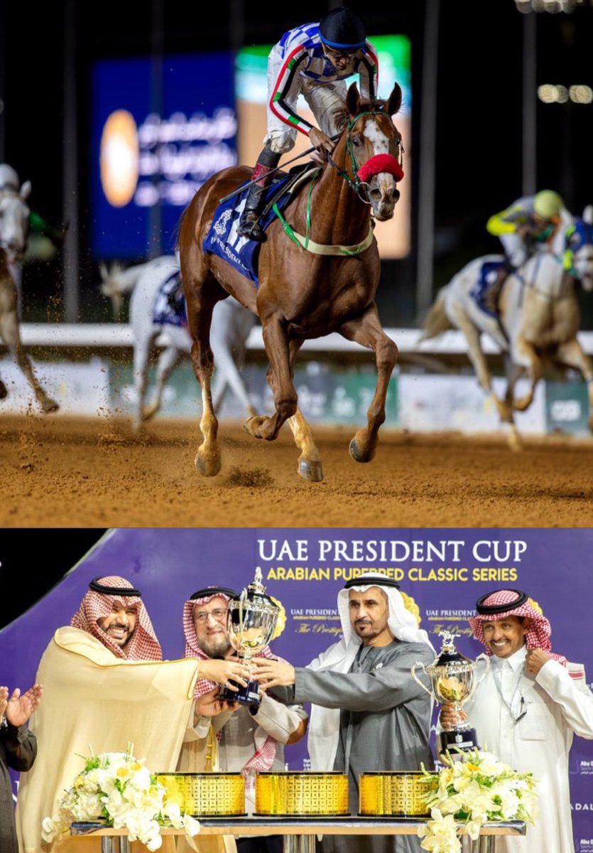 البطل (نجيب الزمان ) يتألق ويُتوّج بكأس رئيس دولة #الإمارات 🇦🇪
#الشيخ_محمد_بن_زايد_آل_نهيان 

عاد البطل ليؤكد مكانته انه رقم 1 في ساحة سباقات الخيل العربية، ويثبت أن عطاؤه مستمر . الف مبروك هذا الإنجاز 

#نادي_سباقات_الخيل
<a href="/FrusiyaClub/">نادي سباقات الخيل</a>