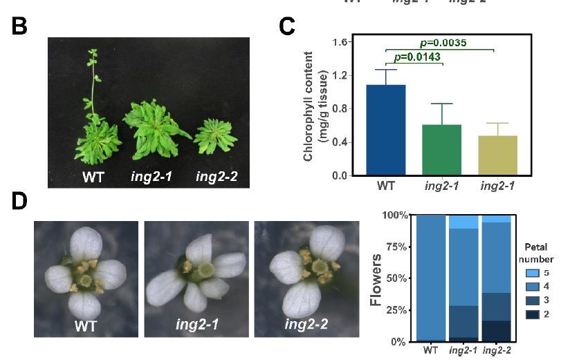 Plant Physiology tweet media