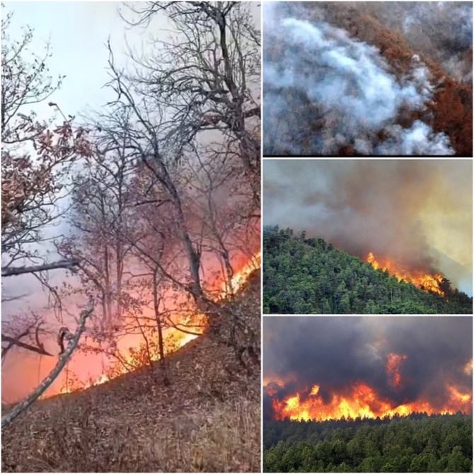 JamsidShahtabar's tweet image. هیرکانی در آتش می‌سوزد، ایران در آتش می‌سوزد
#هیرکانی