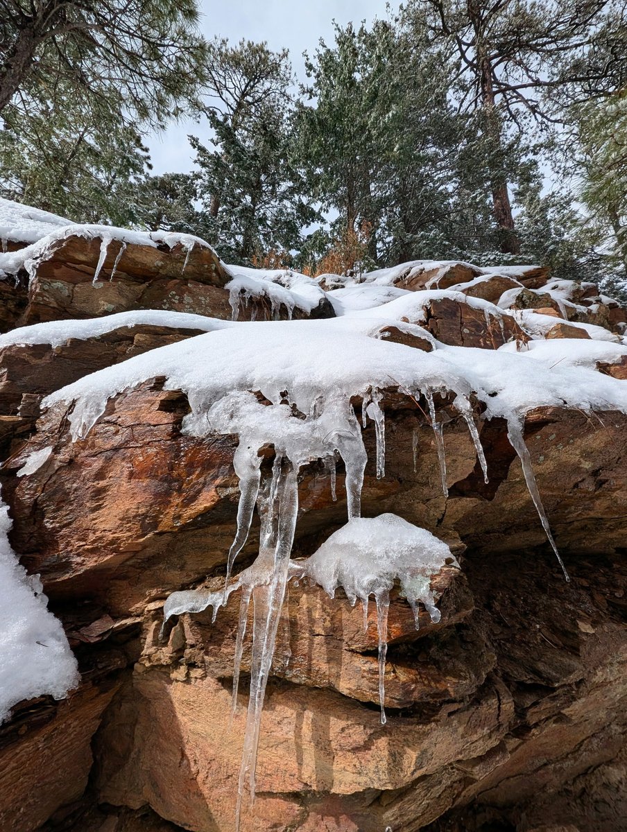 Mtlemmonhotel's tweet image. Friday, November 21, 2025. Quiet hikes in the snow on Mt Lemmon, Arizona. Amazing that we are only a short 45 minutes from the desert.