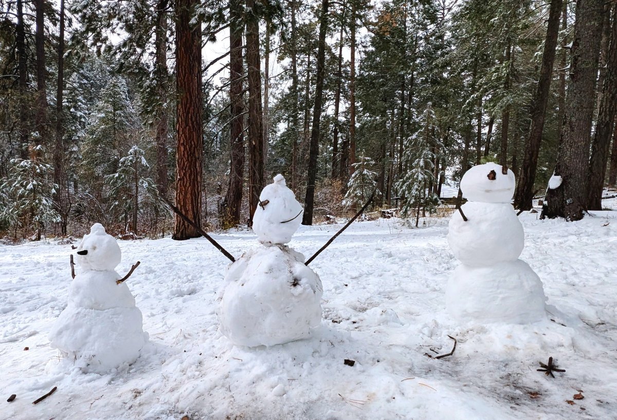 Mtlemmonhotel's tweet image. Friday, November 21, 2025. Quiet hikes in the snow on Mt Lemmon, Arizona. Amazing that we are only a short 45 minutes from the desert.