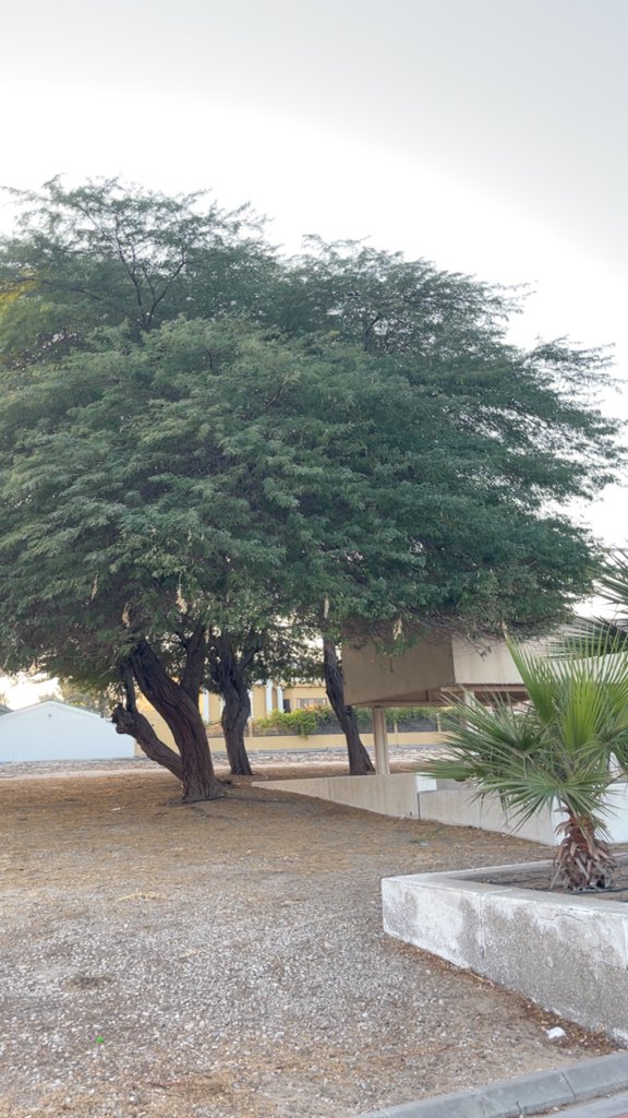 اللهُم أرحم من سكنوا القبور اللهُم آنس وحشتهم ونوّر قبورهم واغفر ذنوبهم وابنِ لهم بيوتًا في الجنة اللَّهم أرحم موتانا الذين هُم بجوارك واجعلهم في نعيمٍ لا ينفد ، وأُنسٍ لا ينضب وهناءٍ لا ينقطع ، اللَّهم أجعل ميعادنا بهم جناتك جنات النعيم🤲