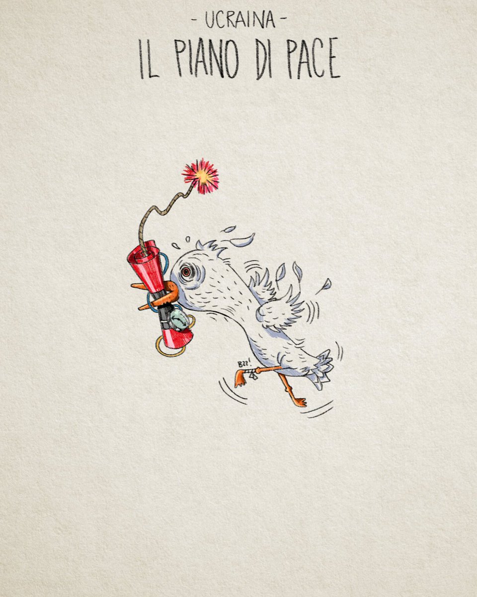 Vola colomba bianca vola