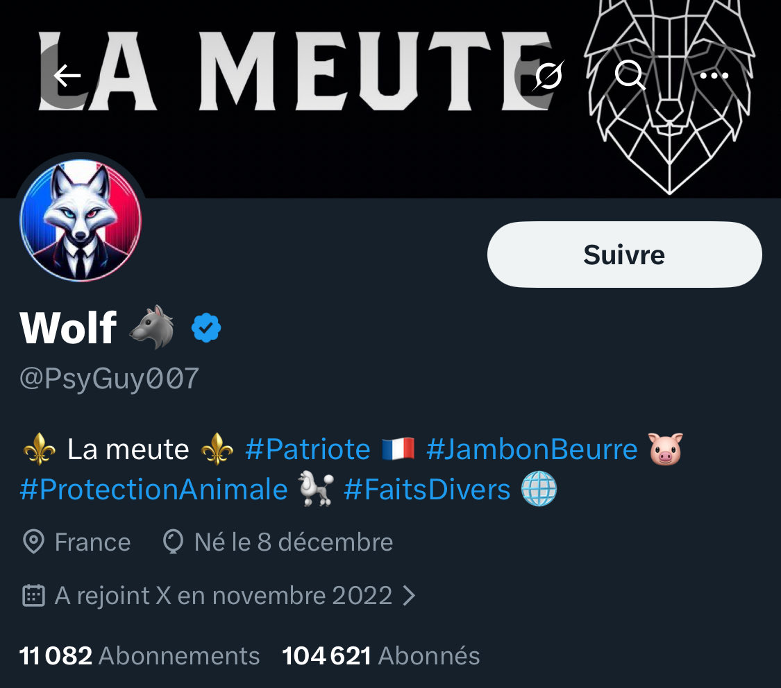 ALM_C_RL_T_'s tweet image. Sachez que ce « patriote jambon beurre », est un bot/troll qui émet depuis l’Inde. Probablement russe.