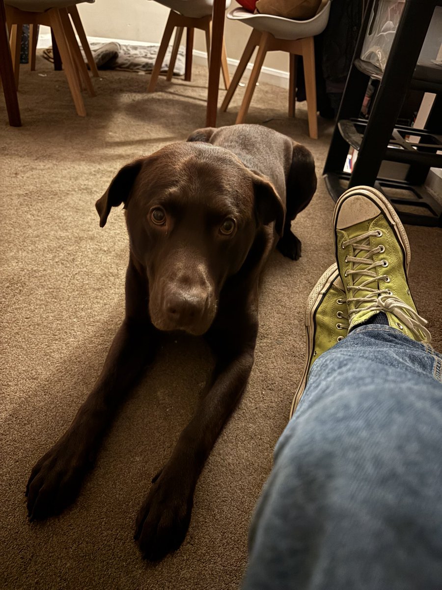 DavadSteel's tweet image. 👋🏻