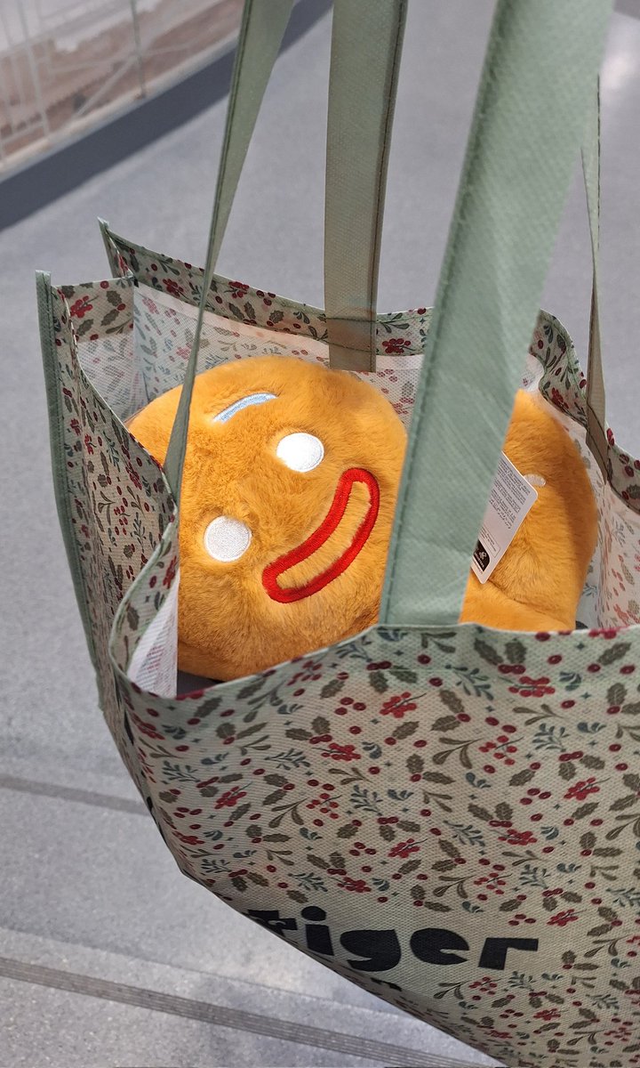 “De lo único que serás rey es del reino de los estúpidos” —me dijo mientras lo metía en la bolsa 😅