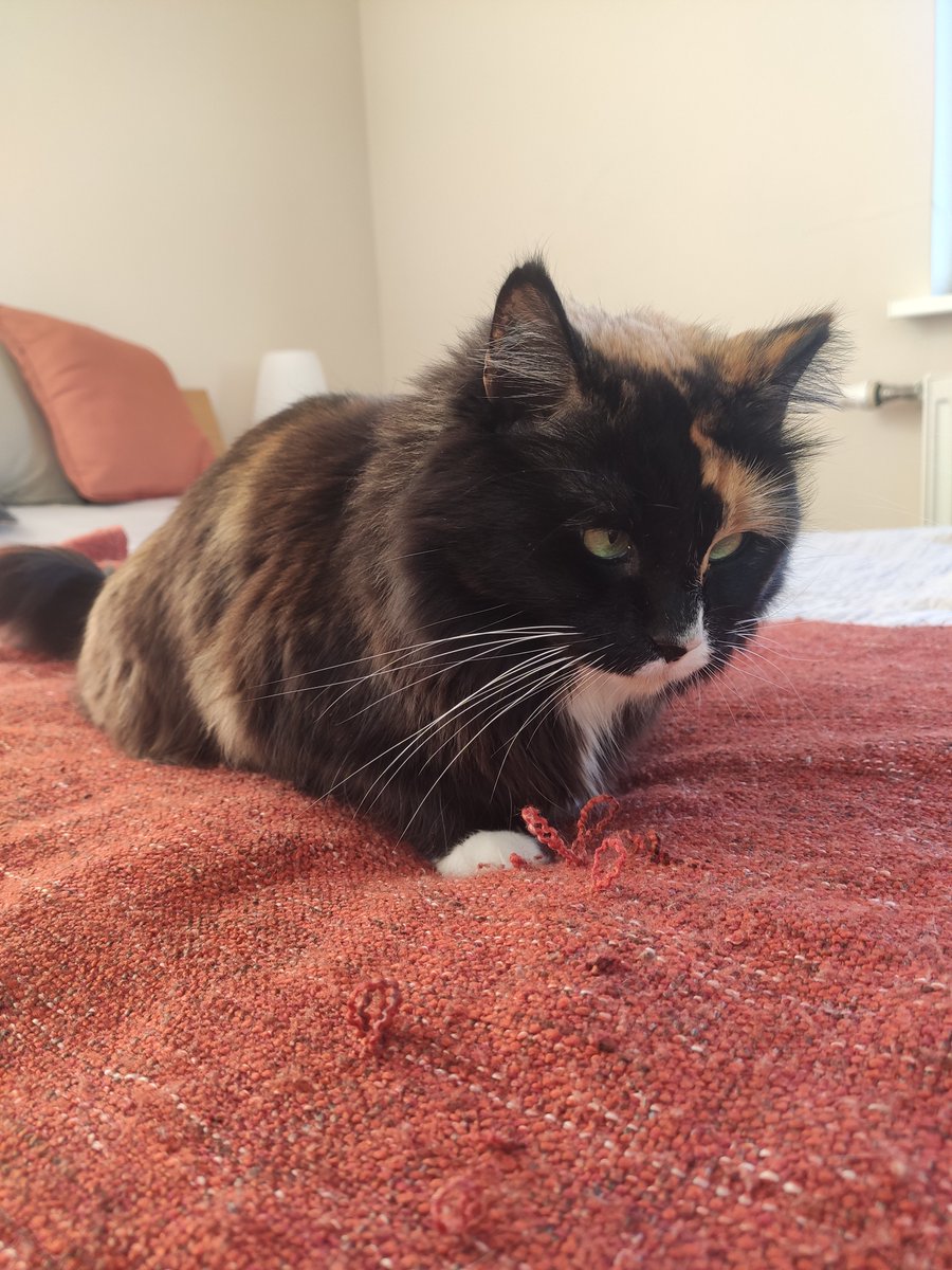 Apogs20's tweet image. Handmade flowers 😏💅