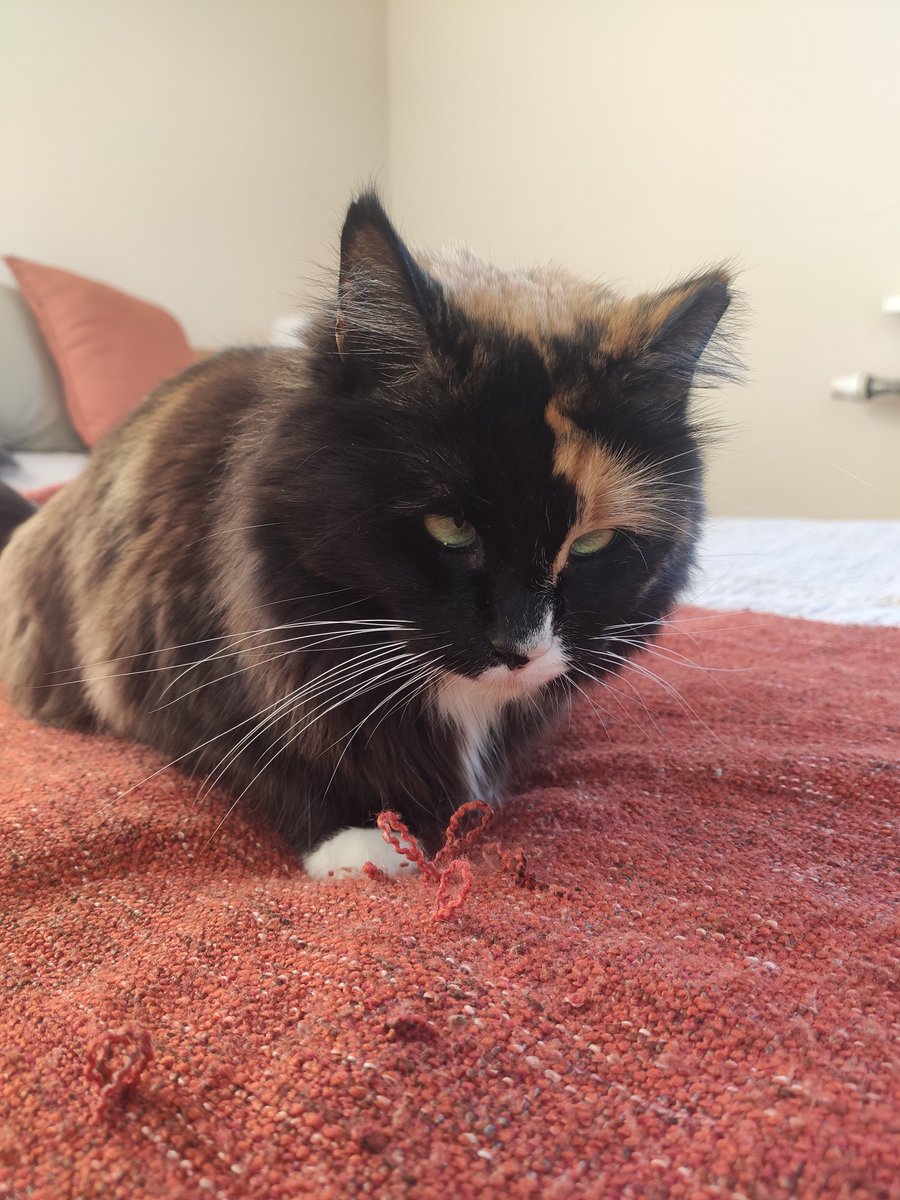 Apogs20's tweet image. Handmade flowers 😏💅