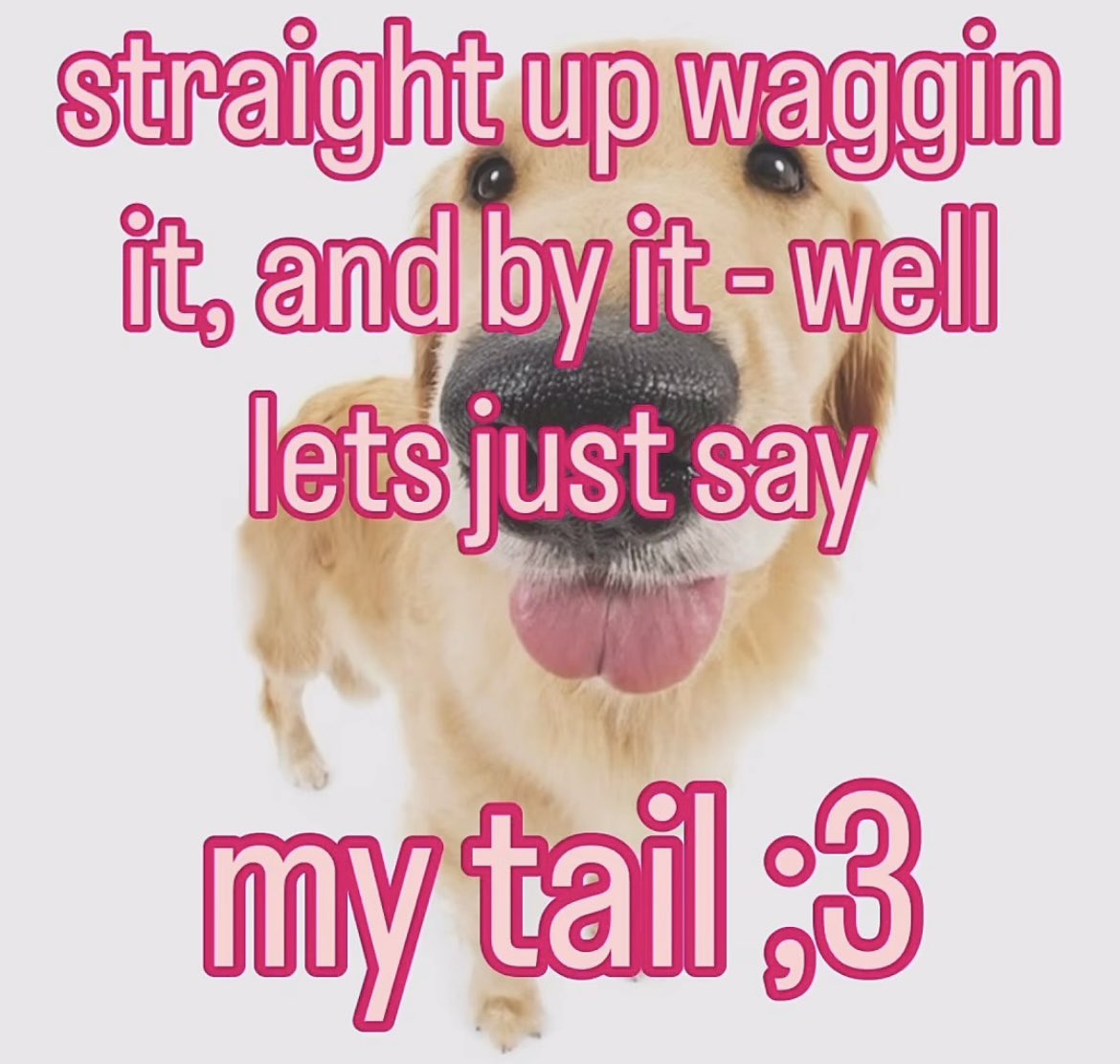 kent (@kent_qy) on Twitter photo 