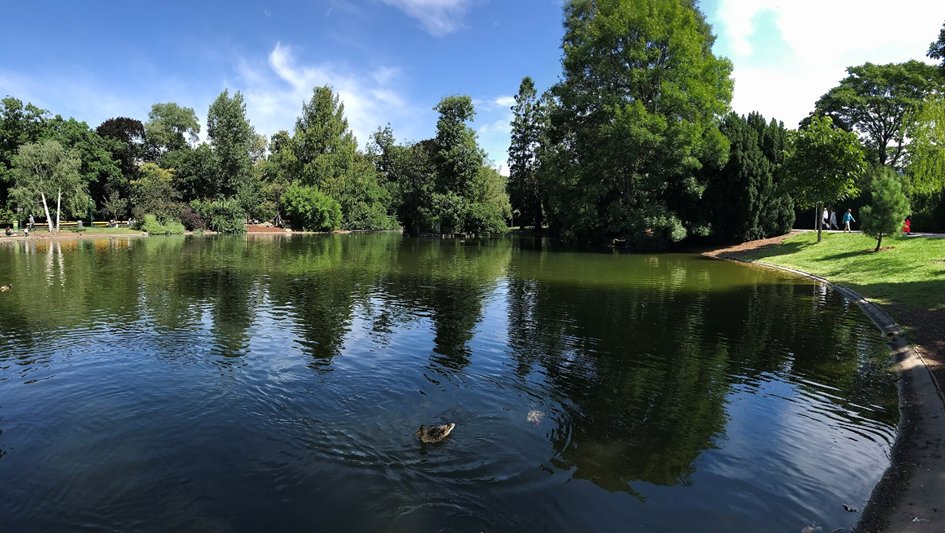 CLL49's tweet image. Sélection de #Parcs citadins en Europe. #Vendredi  Le #Stadtpark est un parc d&apos;environ 10 hectares situé au centre-ville de #Vienne 🇦🇹 Il a été ouvert en 1862 à la place d&apos;une station de cure thermale. #Photographie #Photography 📸 via Wikipédia #Parks 🏞️  #Vienna #Wien