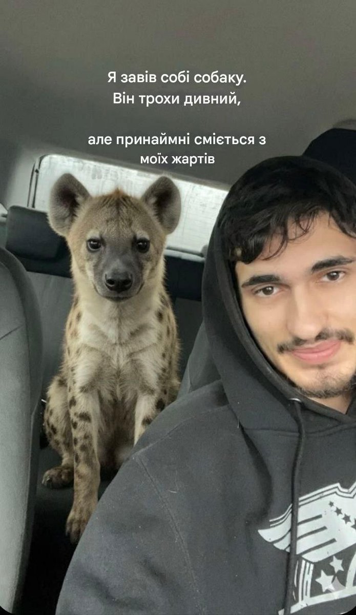 Мед бед (@mil_deva) on Twitter photo 