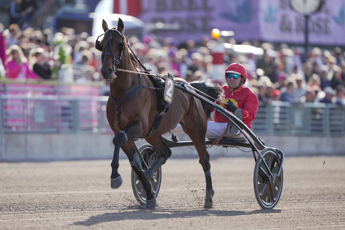 Söndag 30 november anordnas en partnerauktion i samarbete med <a href="/StallCourantAB/">Stall Courant AB</a>  på Travera ❤️💛
travera.nu/aktuellt/coura…