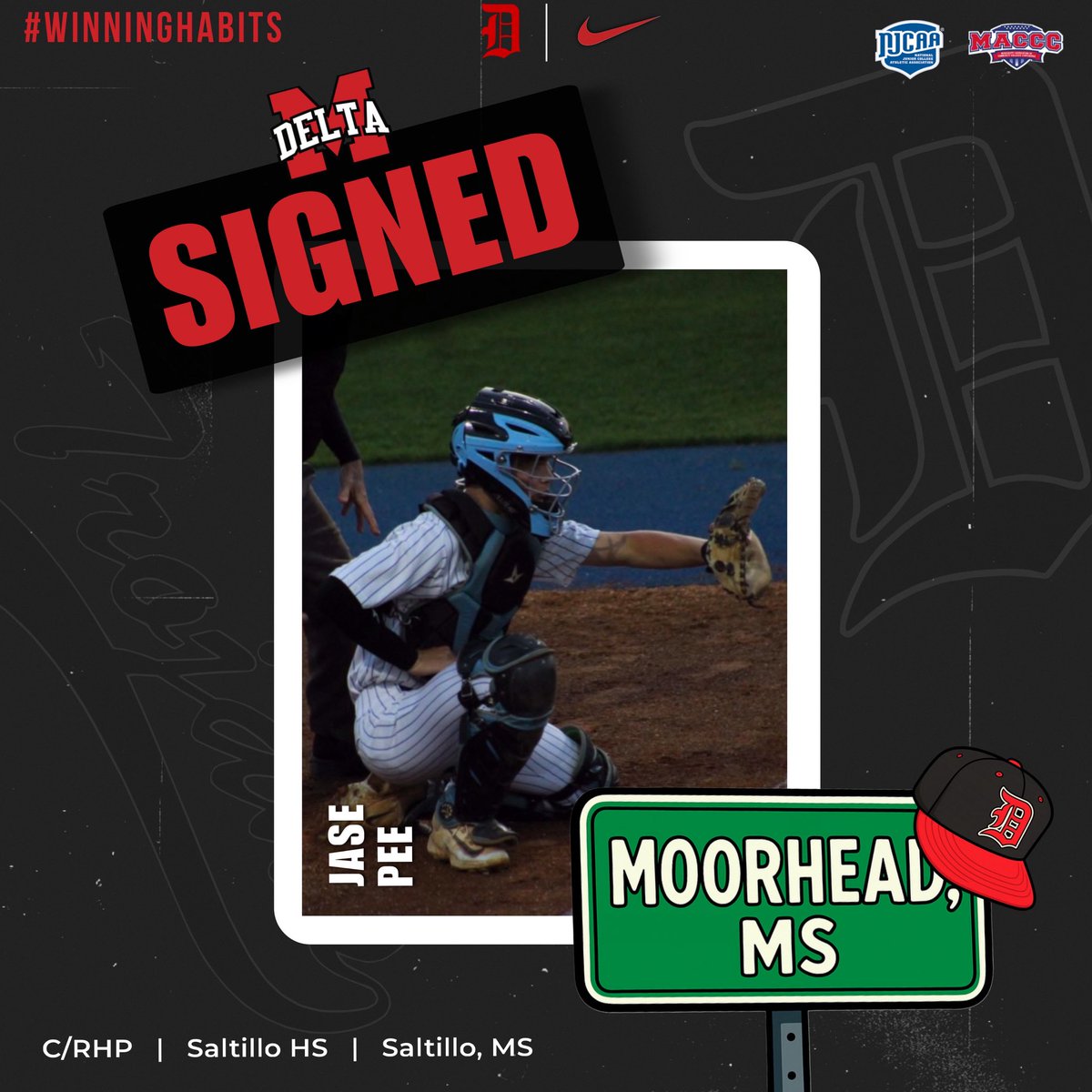 MS Delta CC Baseball tweet media