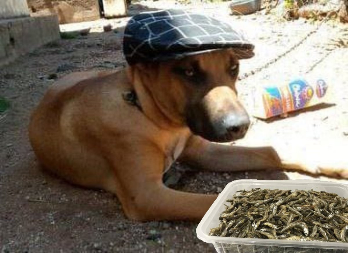 Ngalaxy Dan (@ngalaxydan) on Twitter photo 