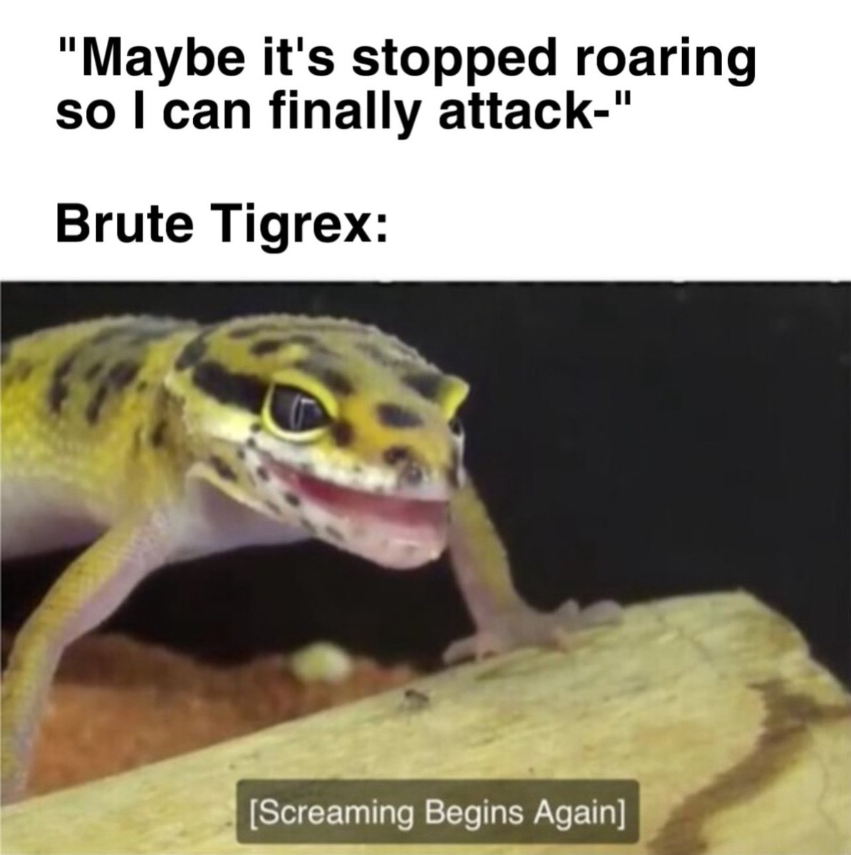 QuirklessStoner's tweet image. 