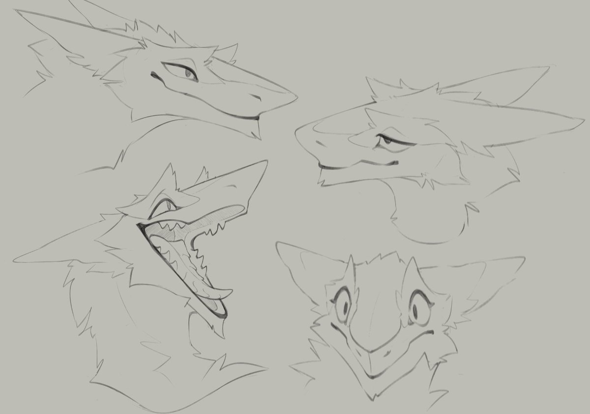 dem0npaws's tweet image. exploring wedge heads for an adopt 🧀