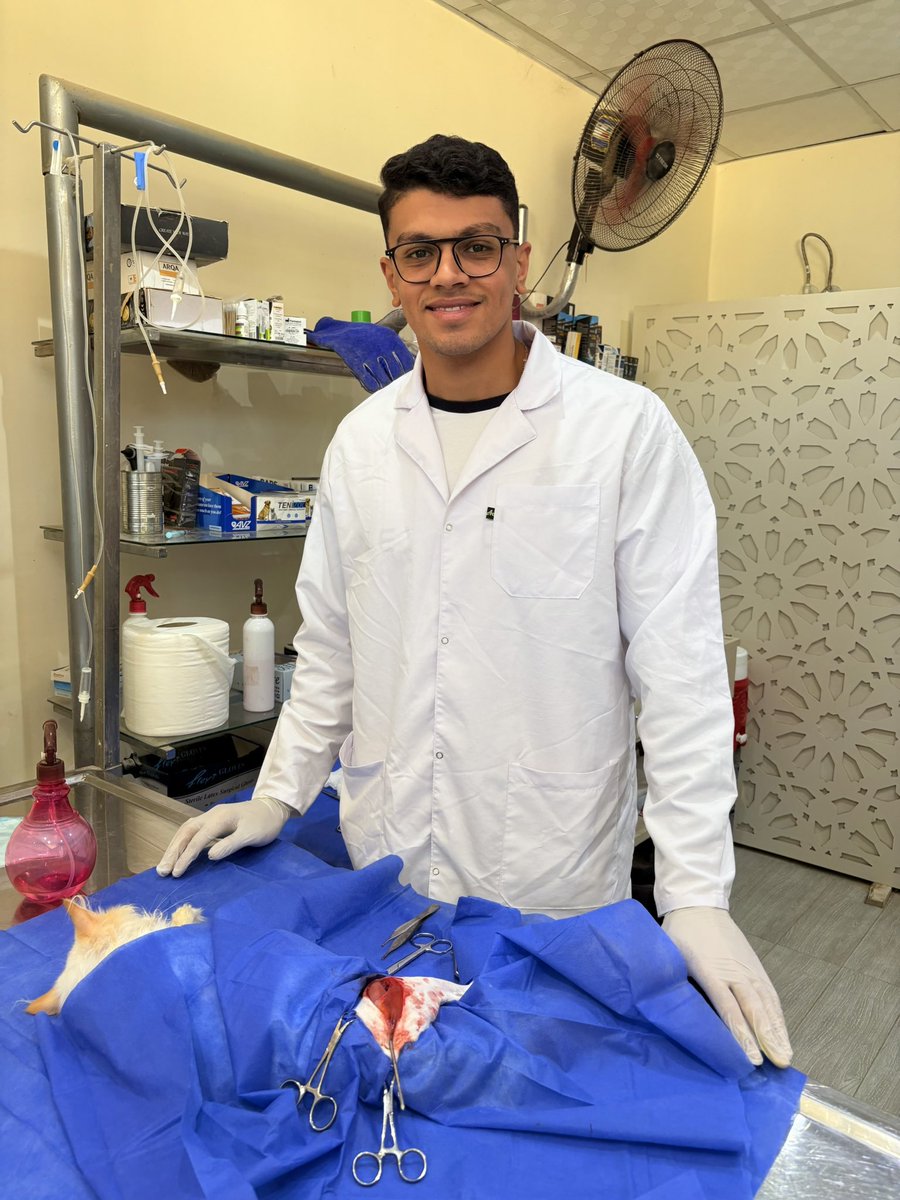a7meddWalidd's tweet photo. خلال كام سنه الواحد ماشي يتعلم و يلاقي نتايج مبسوط بيها مع اقتراب النهايه من التعليم انا حاسسني وصلت لمرحله مكنتش متوقع في يوم اني الاقي نفسي فيها و اتمني اوصل في المجال ده لبعيد وان شاء الله كله بفضل ربنا و كل الدعم اللي بلاقيه من اول يوم 
الحمدلله ❤️ https://t.co/a3LzGgzyyq