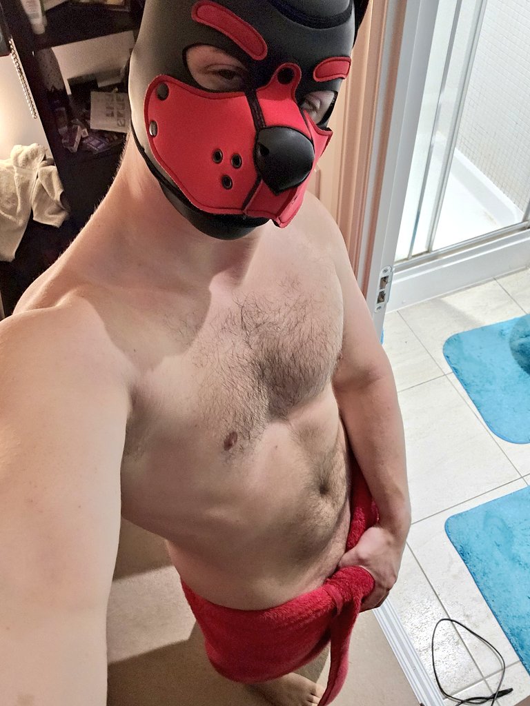 PupJasper98's tweet photo. Wanna help pup get clean or make more mess? https://t.co/eaxlwn0trX