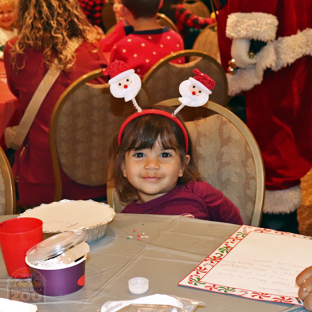 RHZoo's tweet photo. HURRY - Register Now for #CookiesWithSanta at #RollingHillsZoo! Spots are selling out! 🎅🍪 During this beloved RHZ tradition, kids will decorate a big cookie, enjoy a story &amp; meet/take pics with #Santa. Spots fill fast — registration is required 👉 https://t.co/jCdjfZNcnJ https://t.co/hErXFPBPAj