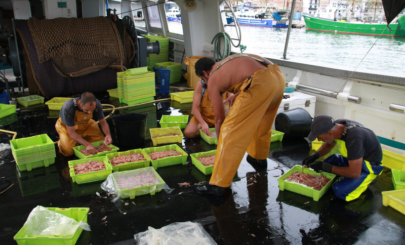 El sector pesquer alerta de les restriccions i les quotes al Mediterrani buff.ly/hWeC4sy