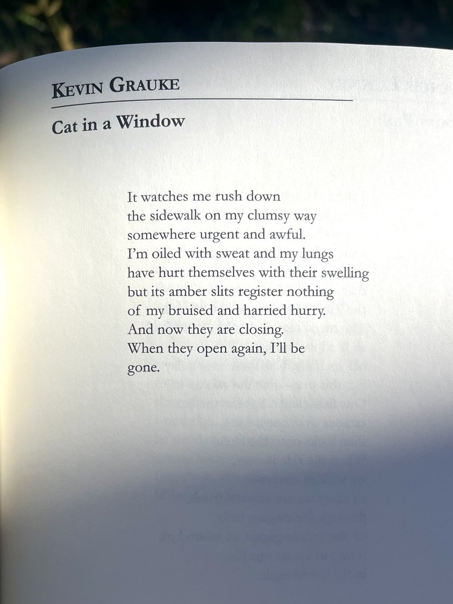 avoidkoolaid's tweet image. Kevin Grauke