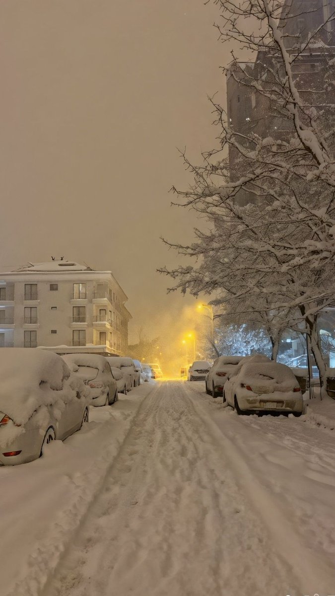 purelivn's tweet image. snowy night