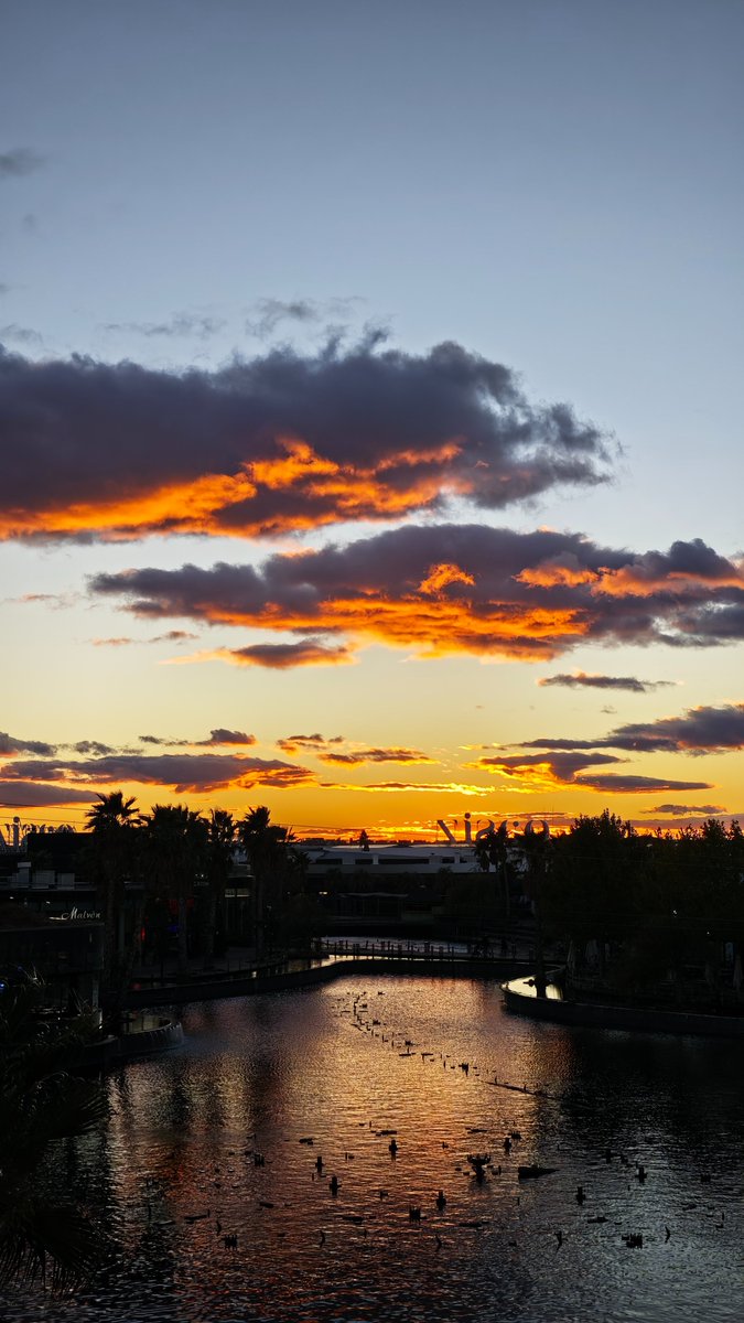 Ll0r3nt3's tweet image. 