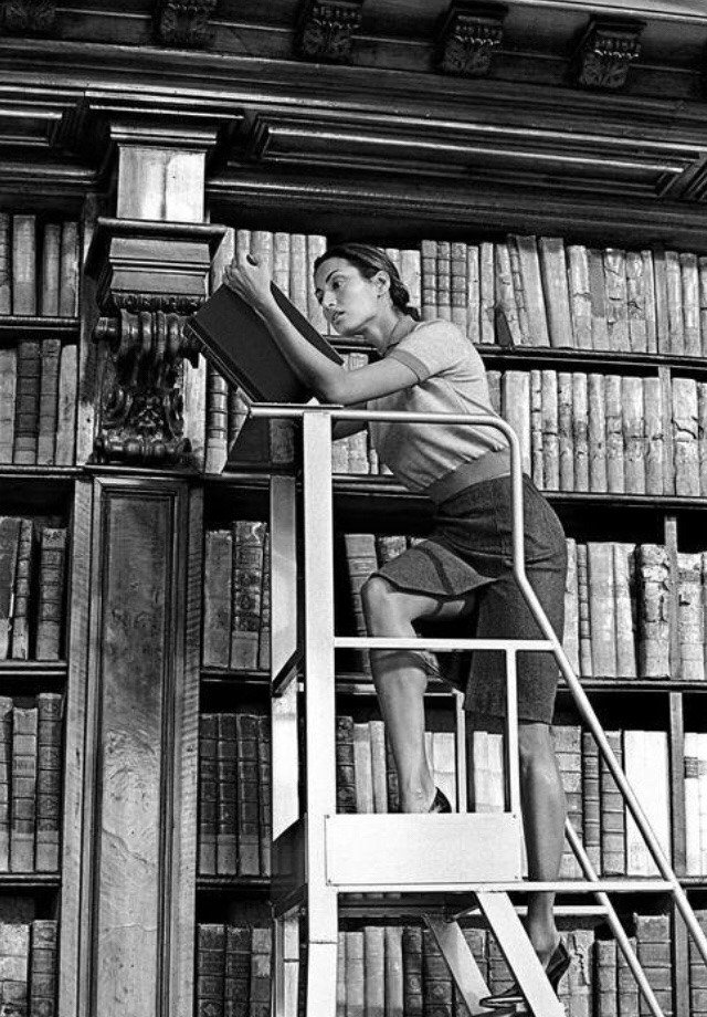 Rosedepluie's tweet image. #Vendredilecture 📚