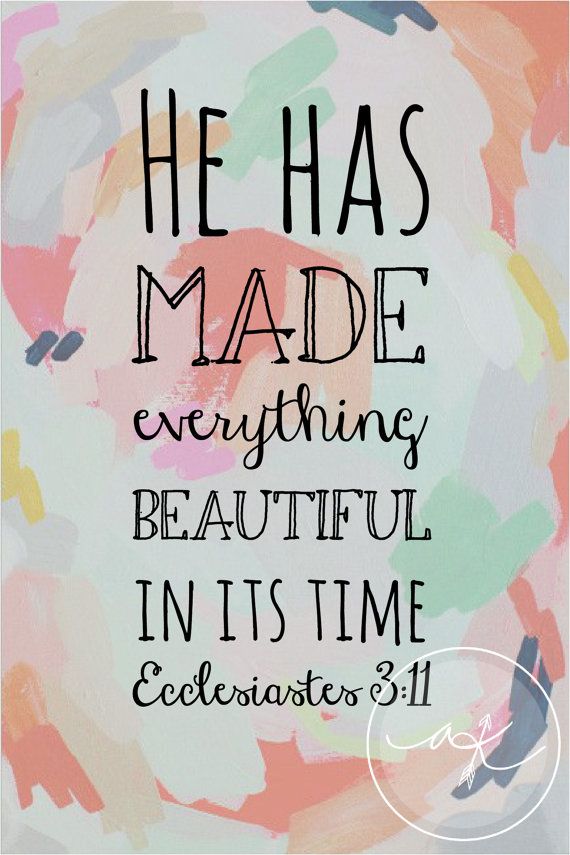 cselston's tweet image. &quot;He hath made every thing beautiful in his time: also he hath set the world in their heart, so that no man can find out the work that God maketh from the beginning to the end.&quot;
Ecclesiastes 3:11 (KJV)

#DBV #Bible #Scriptures #BibleVerse #Faith #GodIsInIt