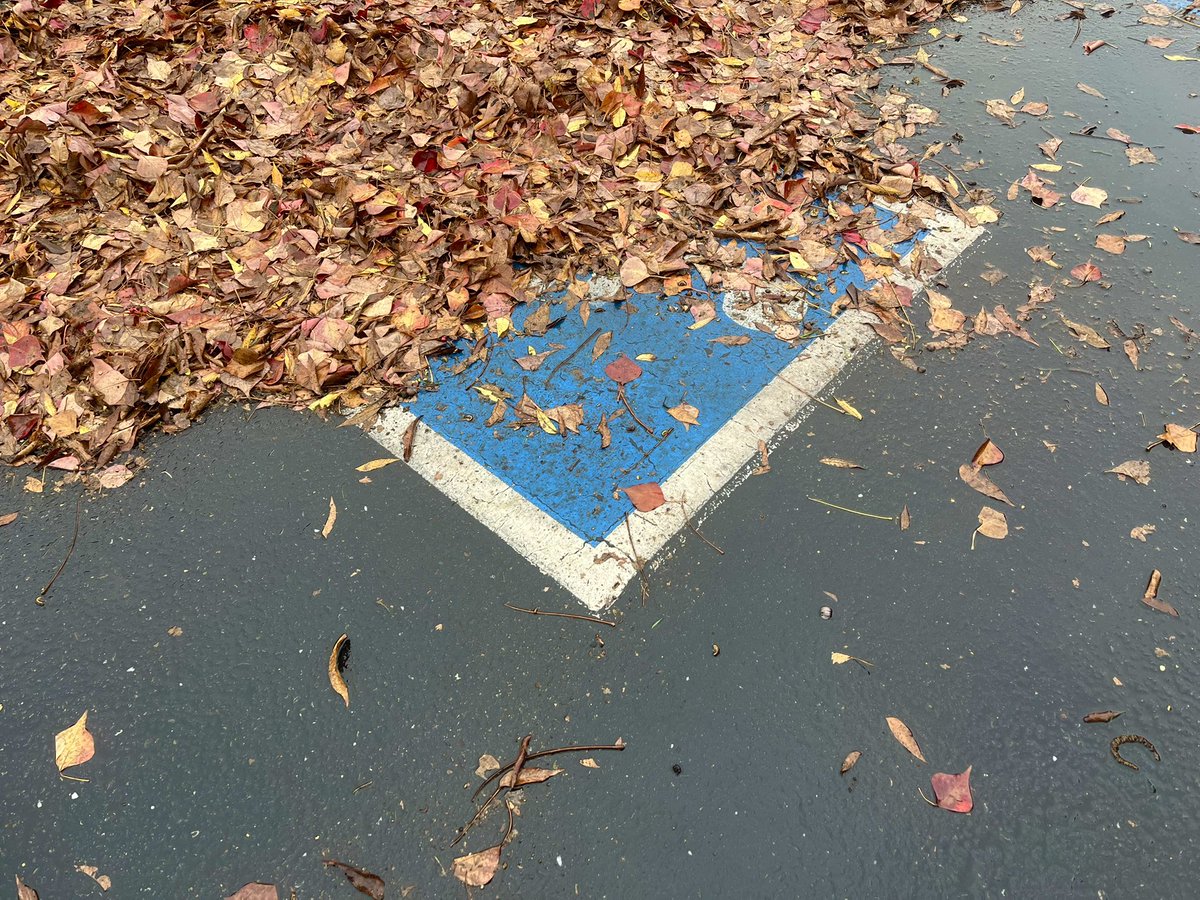 avoidkoolaid's tweet image. yesterday