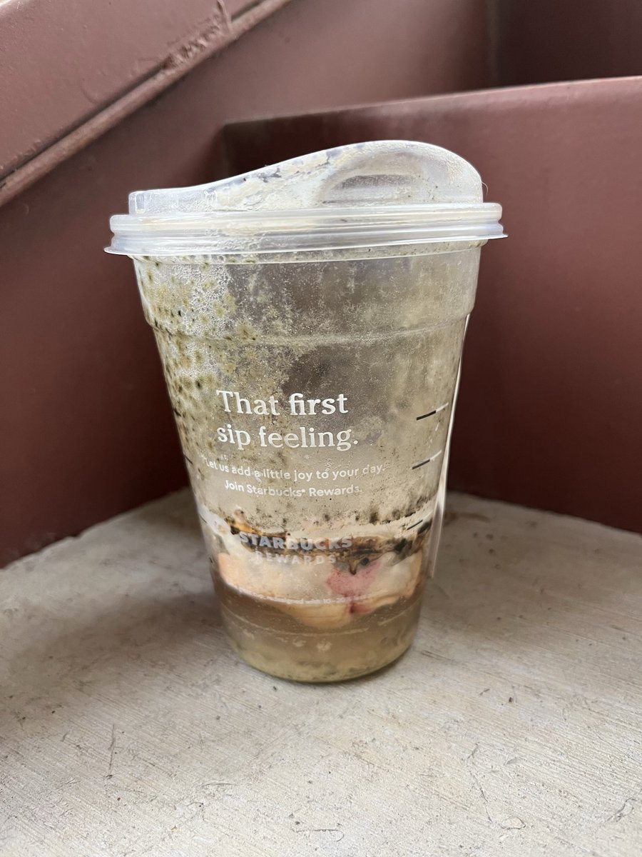 onmystringbean's tweet image. #day25 of this MATCHA sitting outside our apartment 
the mold growth progress has been a lovely watch, just absolutely exhilarating
so excited for when it turns to dust