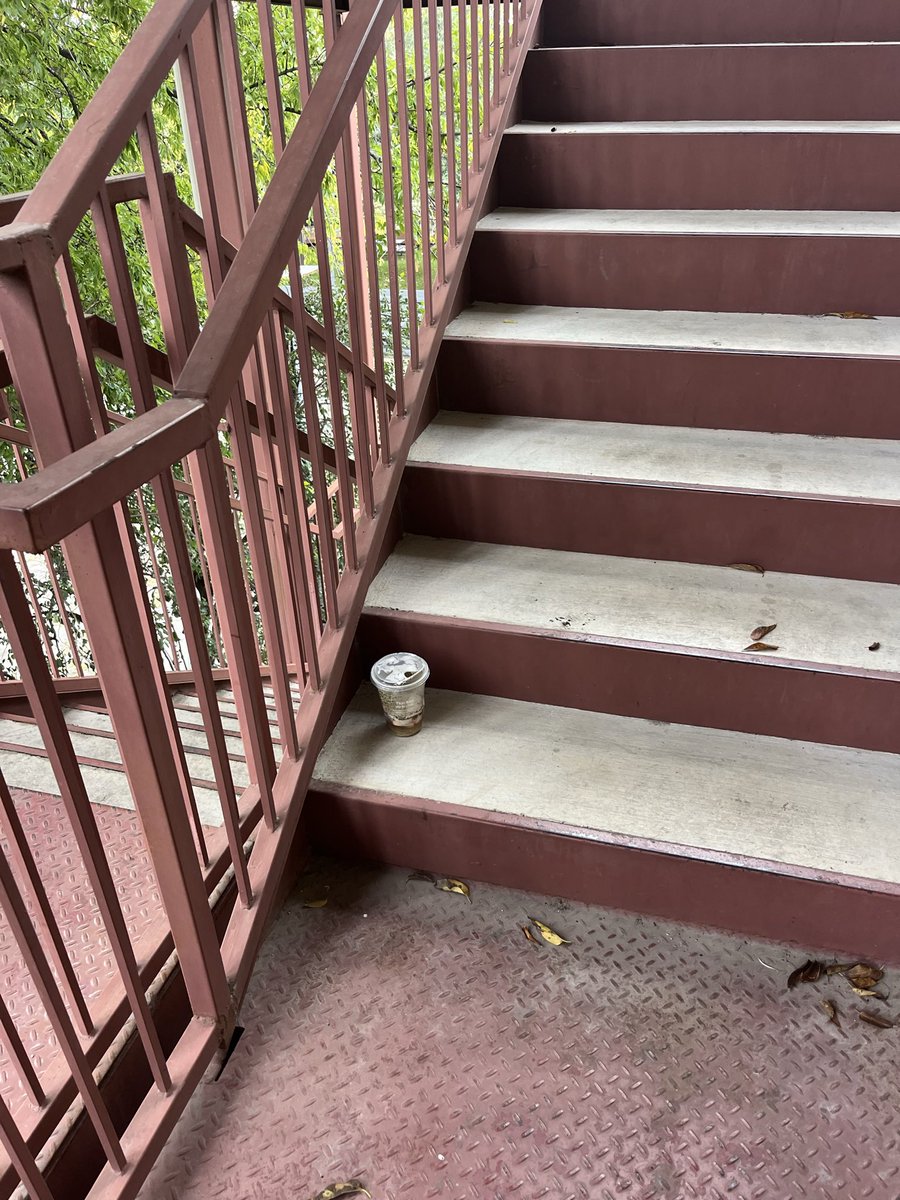 onmystringbean's tweet image. #day25 of this MATCHA sitting outside our apartment 
the mold growth progress has been a lovely watch, just absolutely exhilarating
so excited for when it turns to dust