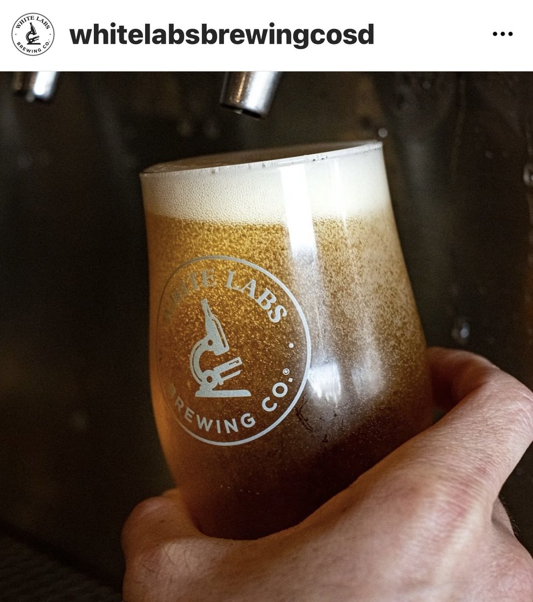 Live Prize Trivia tweet media