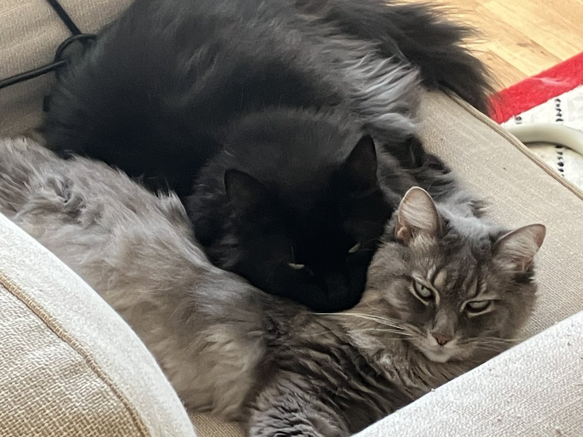 joseph burgess (@jktburgess) on Twitter photo 