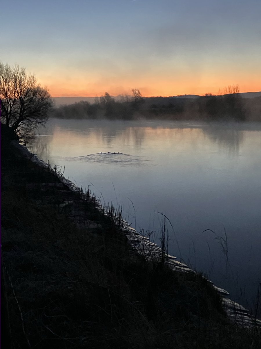 Matt Hart tweet media