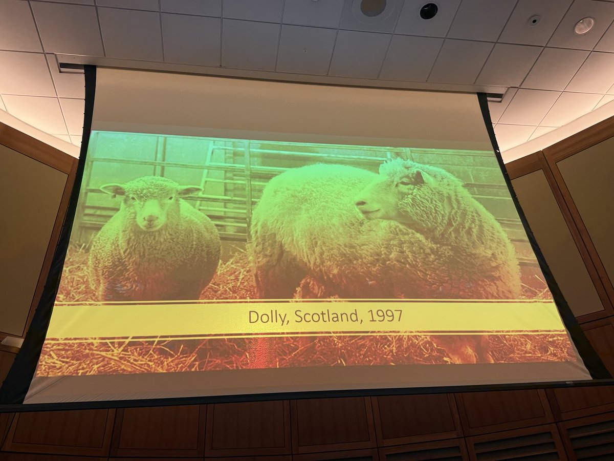 A tour de force by ⁦<a href="/DavidSteensma/">David Steensma, MD</a>⁩ on the history and origin of a “clone” in the early detection and interception retreat ⁦<a href="/DanaFarber/">Dana-Farber</a>⁩