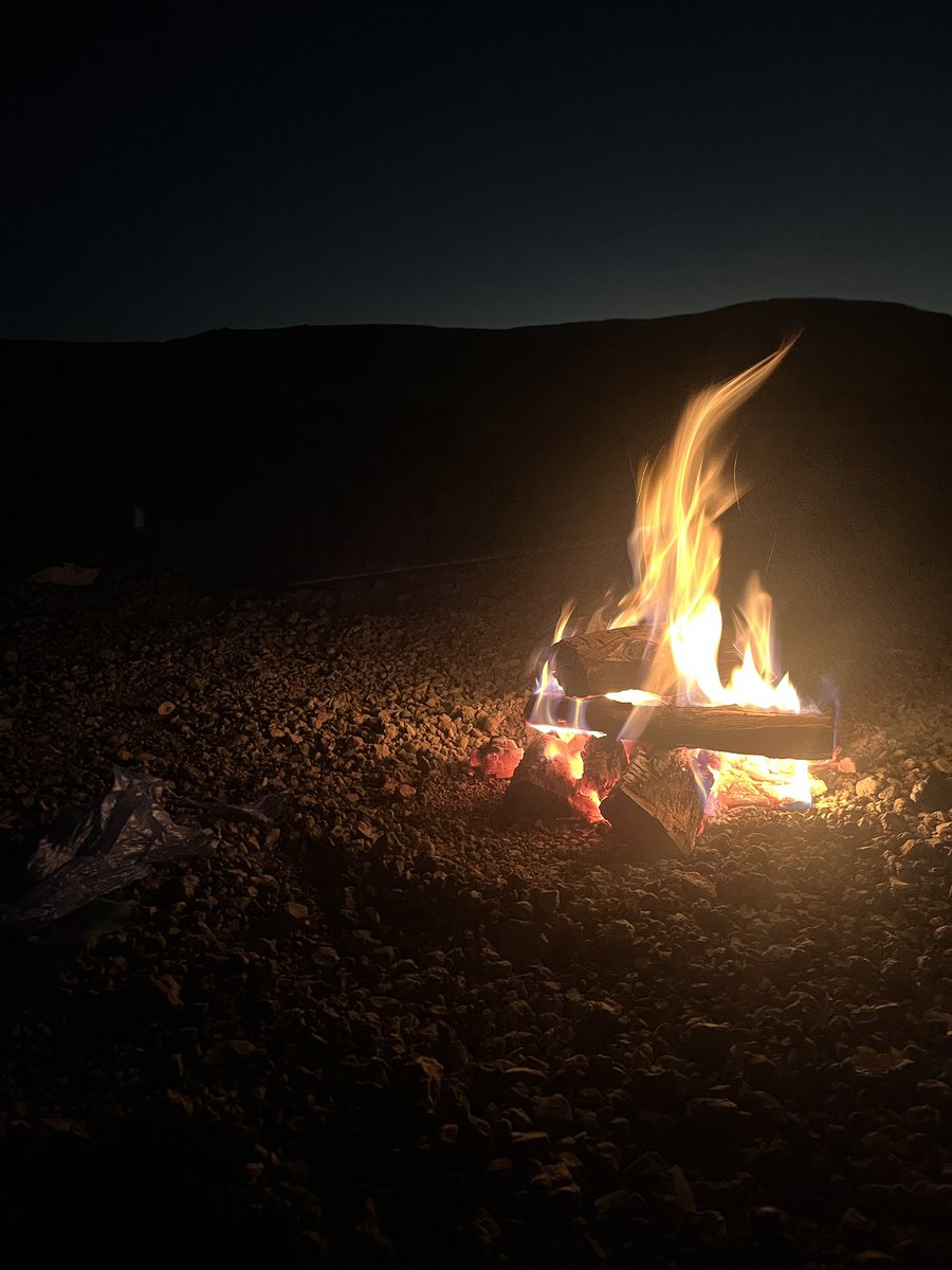 في البريه لوحدي بين الذئاب