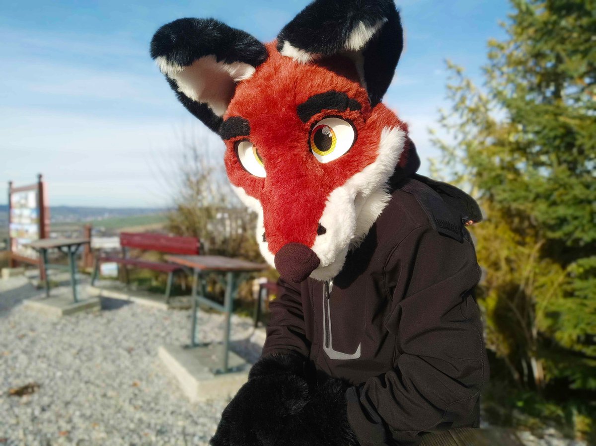 PlayerGameSK's tweet photo. Me when I'm chilling then remember I'm actually outs*de 😬 
#FursuitFriday (5) https://t.co/XoXQiE5WbH