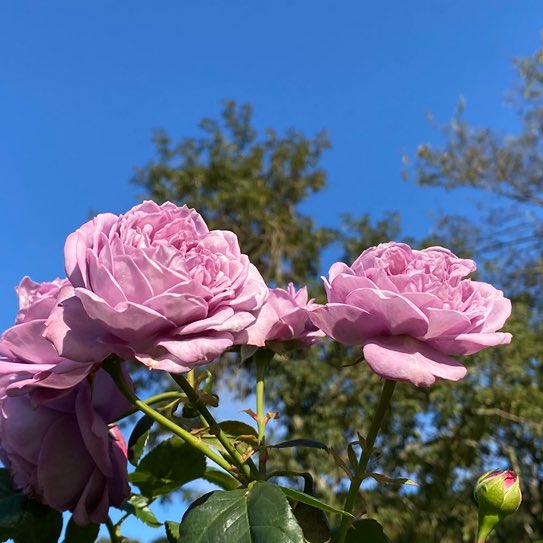 ひろみ 🦋 (@u90pVKxMdO9ffre) / Posts / X