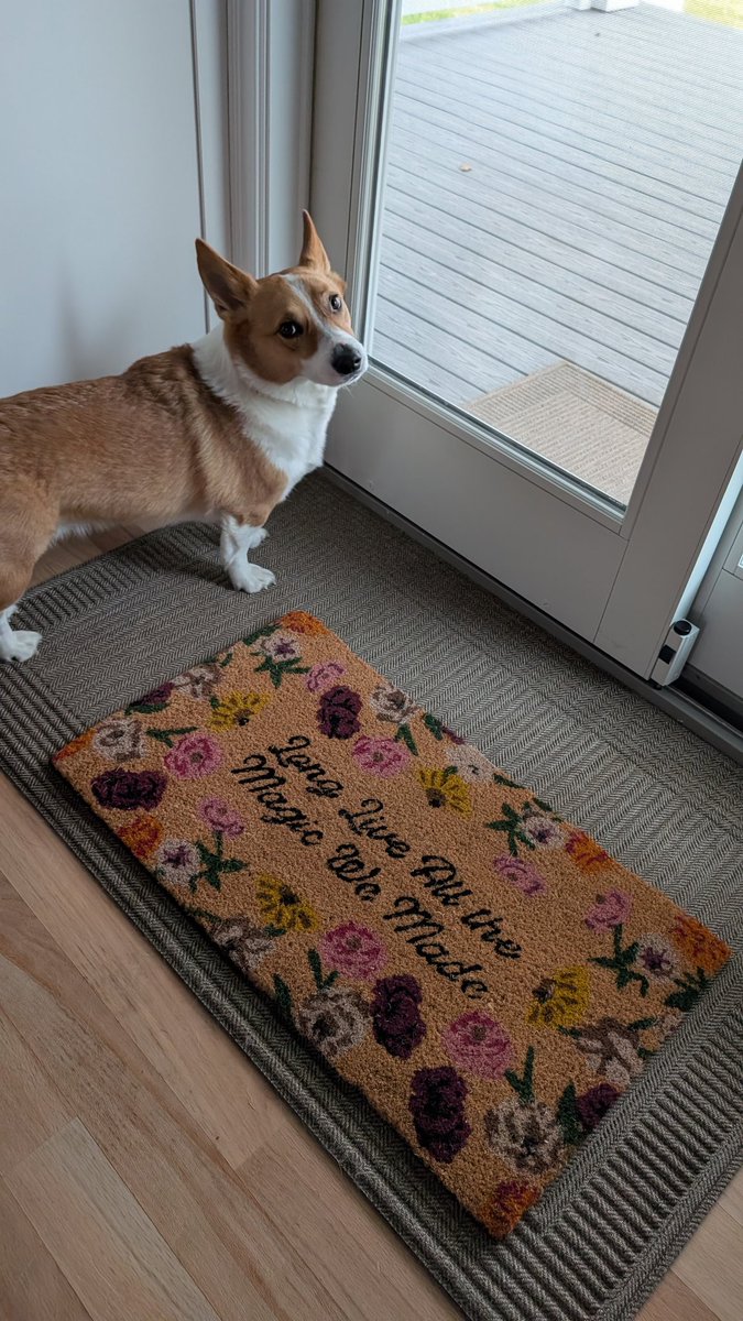KrabbyKam's tweet image. My corgi: &quot;Enough @UMG packages, more treats!&quot;
My husband: &quot;Oh...this is the dragon song!&quot;

@taylornation13 @taylorswift13 #Swiftmas