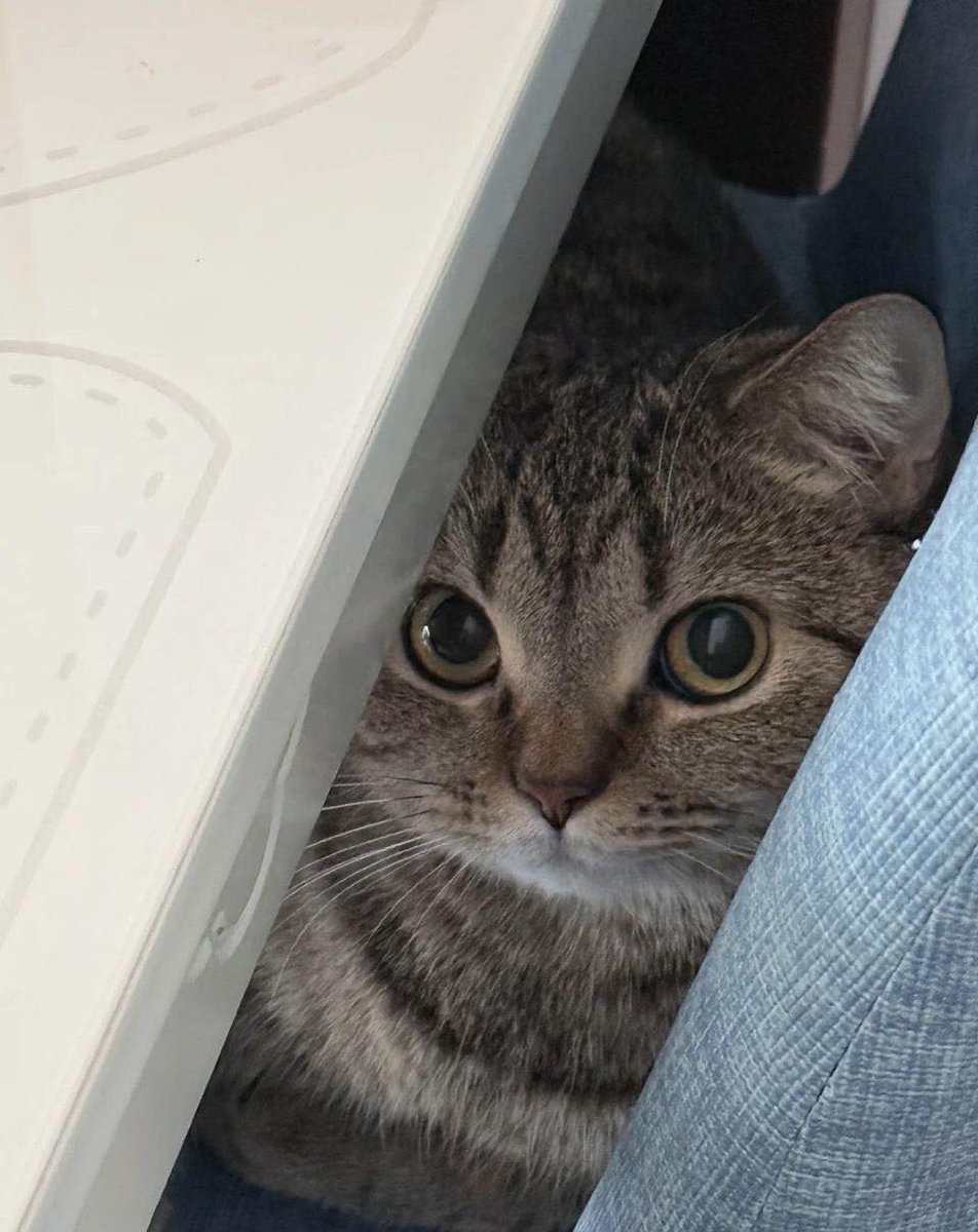 Libra ♎ descuento interesante
Escorpio ♏ te dan confirmación
Sagitario ♐ en confianza plena
Capricornio ♑ recuerdo feliz
Acuario ♒ rehacer para triunfar
Piscis ♓ en revisión de tu método

Carta astral personal y Tarot 04123399154

wh 584123399154